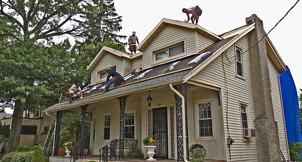 Quick and Trustworthy Emergency Roof Repair Services in Beacon Hill, WA