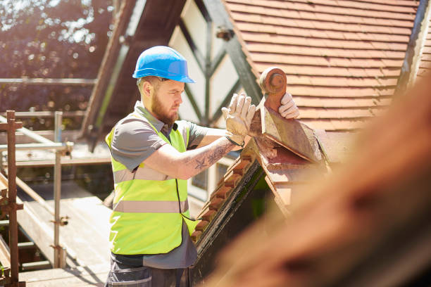 Professional Roofing Contractor in Beacon Hill, WA